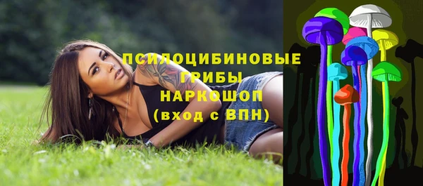 амф Медвежьегорск