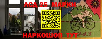 индика Гусев