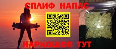 индика Гусев