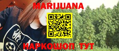 индика Гусев