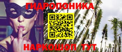 индика Гусев