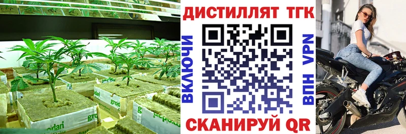 ТГК THC oil  ОМГ ОМГ ССЫЛКА  Саров  закладки 