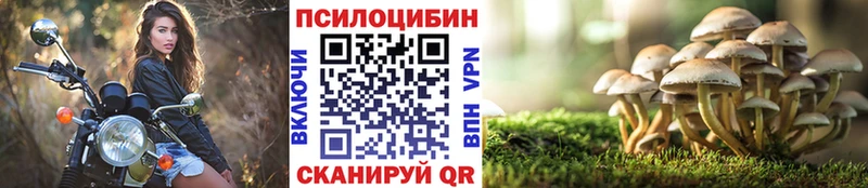 Галлюциногенные грибы прущие грибы Саров