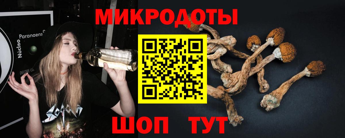 Галлюциногенные грибы мухоморы  Псилоцибиновые грибы Psilocybine cubensis  Саров  Вход с VPN 